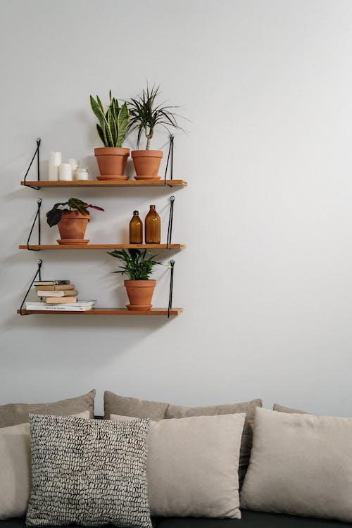 Shelves Decorating with Houseplants: