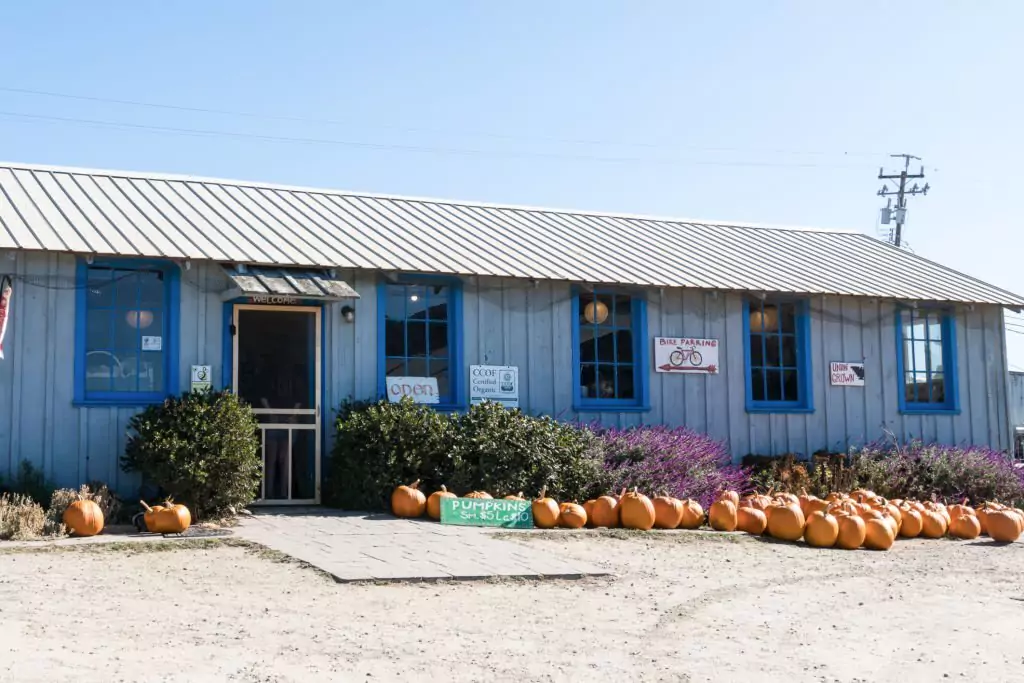 Swanton Berry Farm