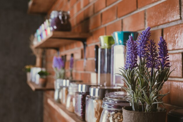 Growing Lavender Indoors: A Fragrant Journey